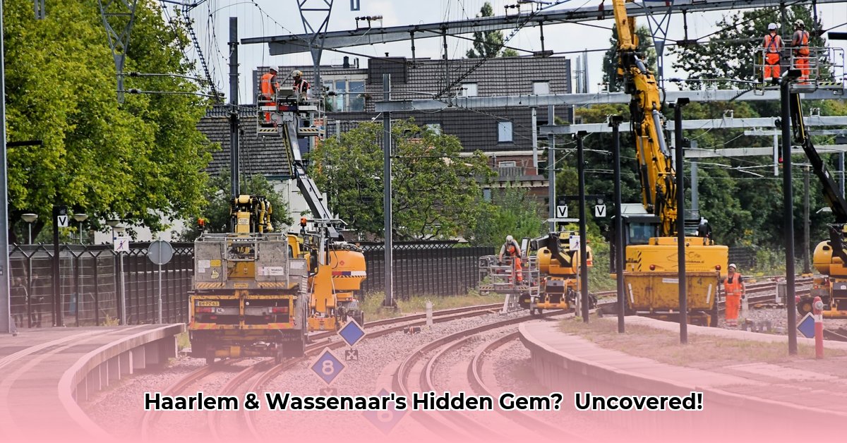 gebied-tussen-haarlem-en-wassenaar-12-letters